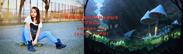 МДПВ Медвежьегорск