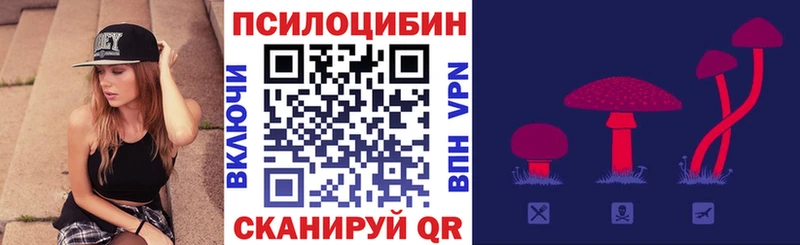 гидра tor  Емва  Галлюциногенные грибы Psilocybe 